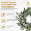 Polyethylene Wreath-207275755