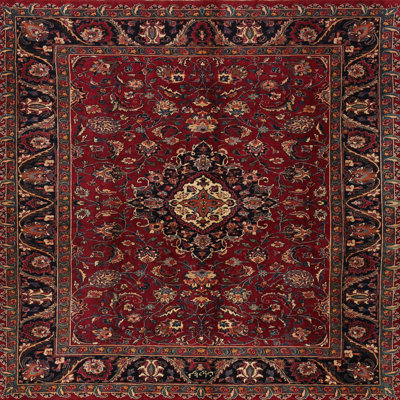 Soza Performance Oriental Indoor Rug