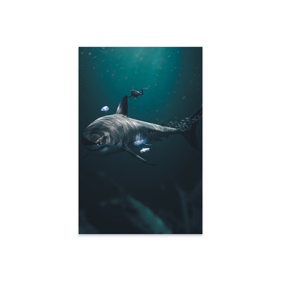 " The Megalodon " by Zenja Gammer