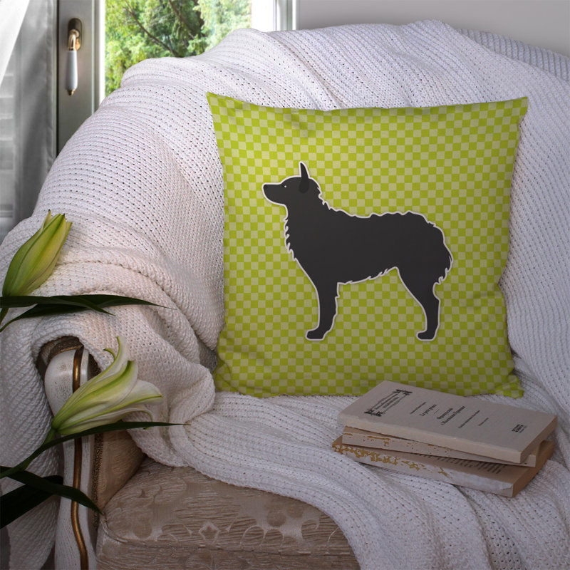 Coussin décoratif intérieur/extérieur croate berger, H 14 po x l 14 po x P 3 po, Vert