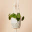 Hanging Planter