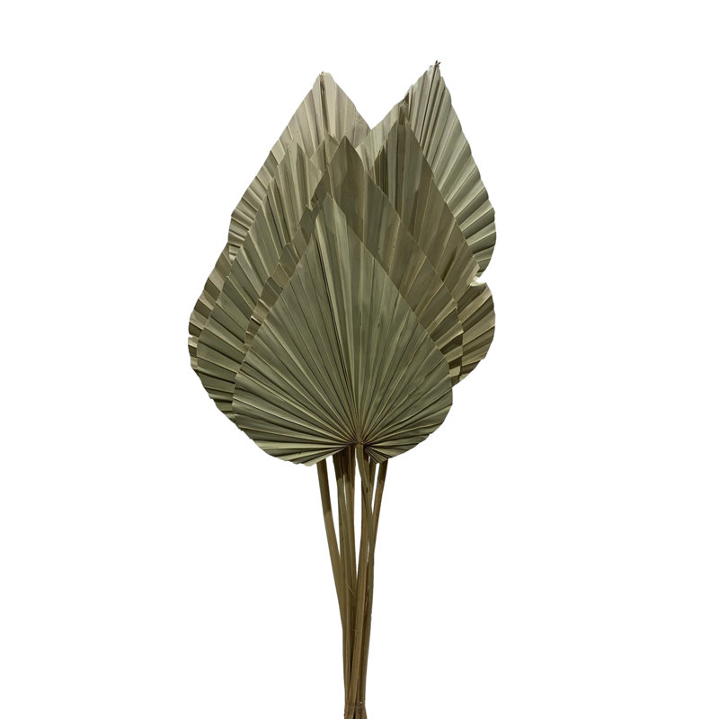 Erkson Arrangement