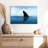 Crowle Shark Fin-111981344