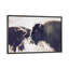 Photographie buffalo-43719317-43719323