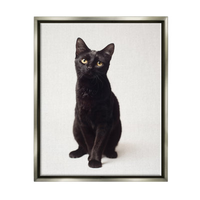 «Cute Cat Black Expressive Eyes Pet Portrait», art mural par Marika Moffit
