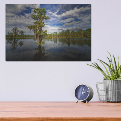 Mur de métal «Atchafalaya Af après-midi» par Rick Berk de Ebern Designs