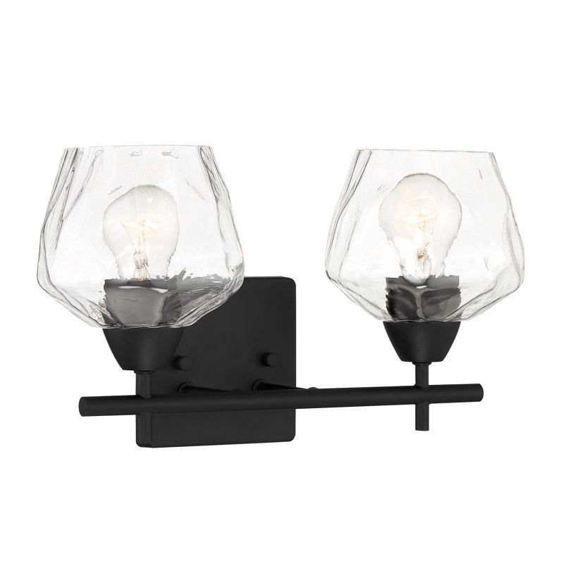 Highland Dunes Muro Transitional Coal Finish Vanity Light, Coal, Clear