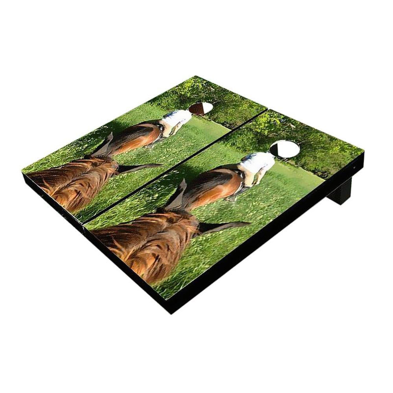 Planches d'équitation 2 'x 3'