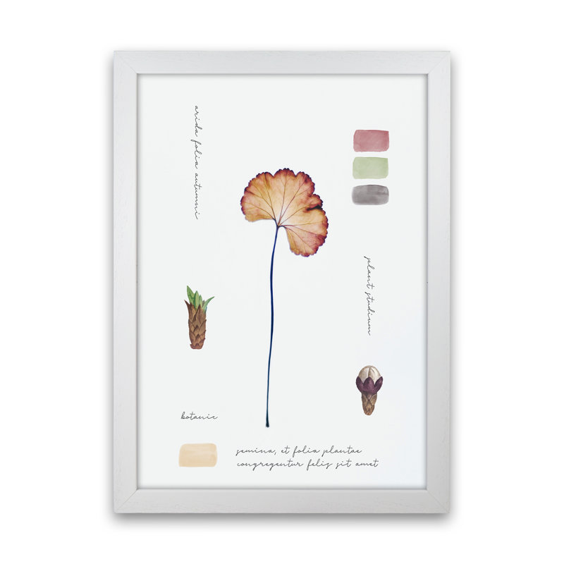 Botanic Notes - Print, White Framed, 88cm H x 64cm W x 3cm D