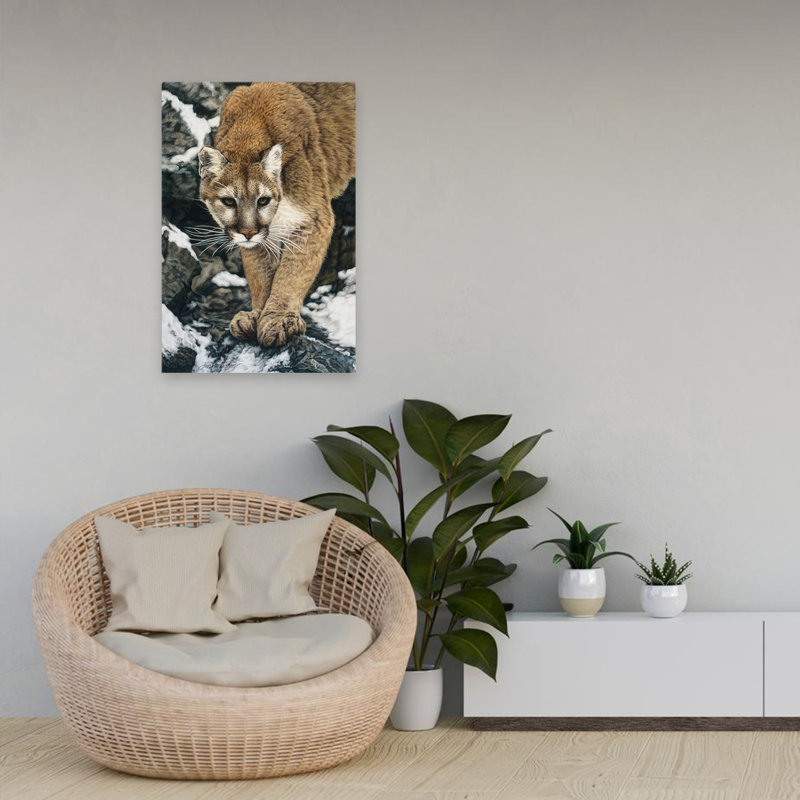 Approche silencieuse - animaux, chats, neige, hiver, H 24 po x l 16 po