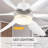 Stansberry Ceiling Fan with LED Lights-48985653