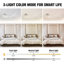 LED Flush Mount