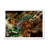 Leopard And Tiger VII - Modern Framed Wall Decor-600840927-600840926