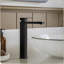 Robinet de lavabo vasque noir à poignée simple avec tuyau d'alimentation en eau au-dessus du comptoir et drain escamotable-129509083