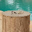 Anella Wood Garden Accents Accessories