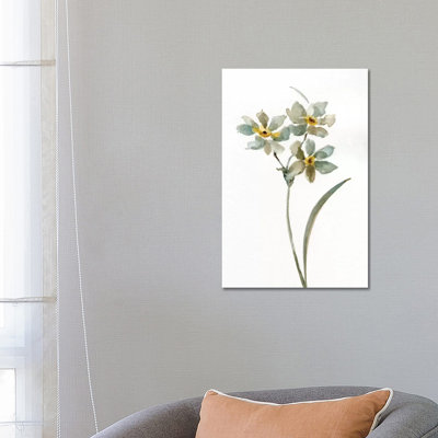 Neutral Botanical I by Nan - Wrapped Canvas Painting