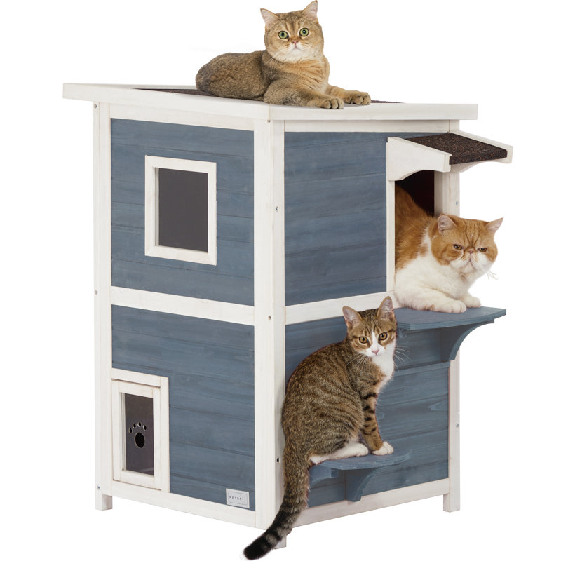 Chitose Cat House, Gray