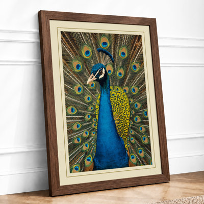 Peacock in Repose Botanical - Framed Print