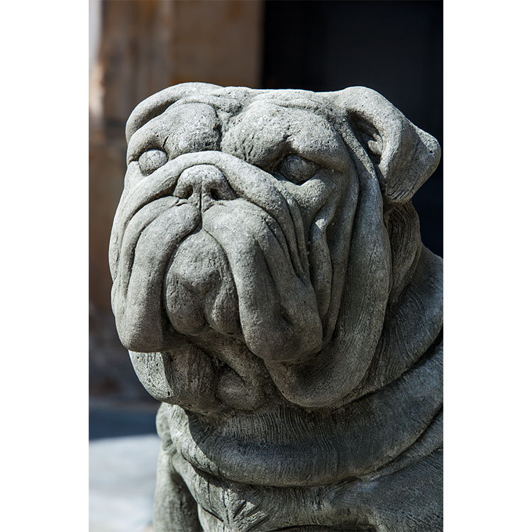 Statue de bulldog antique, Pierre alpine