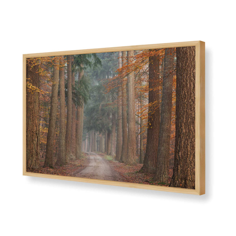 «Autumn Pathway» par Martin Podt, reproduction d'art, 18 W x 12 H, Tan, Framed Print