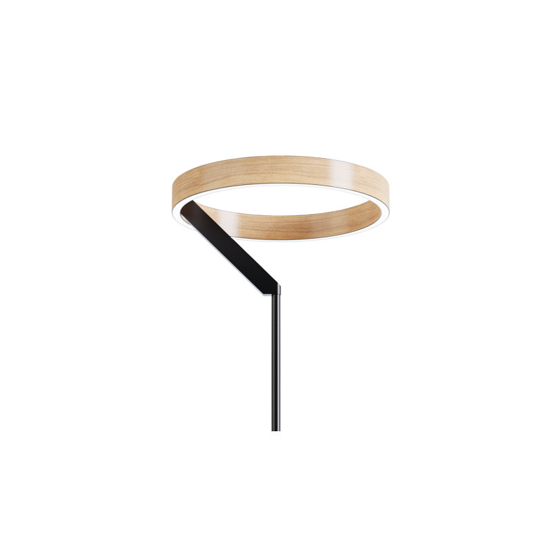 Modern 24W LED Floor Lamp 63" - 2700K Warm Light- Angled Design in Matte Black