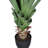 Cobb 48'' Faux Agave Plant in Pot