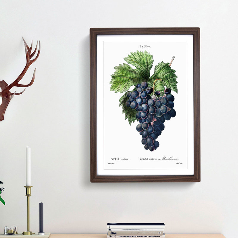 Blue Grapes by Pierre-Joseph Redoute - Picture Frame Graphic Art Print, 65cm H x 48cm W x 2cm D, Walnut Framed