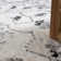 Tapis oriental crème / gris Tonia