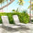 Nakyiah Outdoor Metal Chaise Lounge Set-1454605513