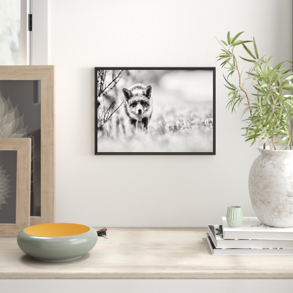 Gerahmtes Wandbild Schleichender fuchs