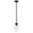 Rojas Outdoor Hanging Lantern