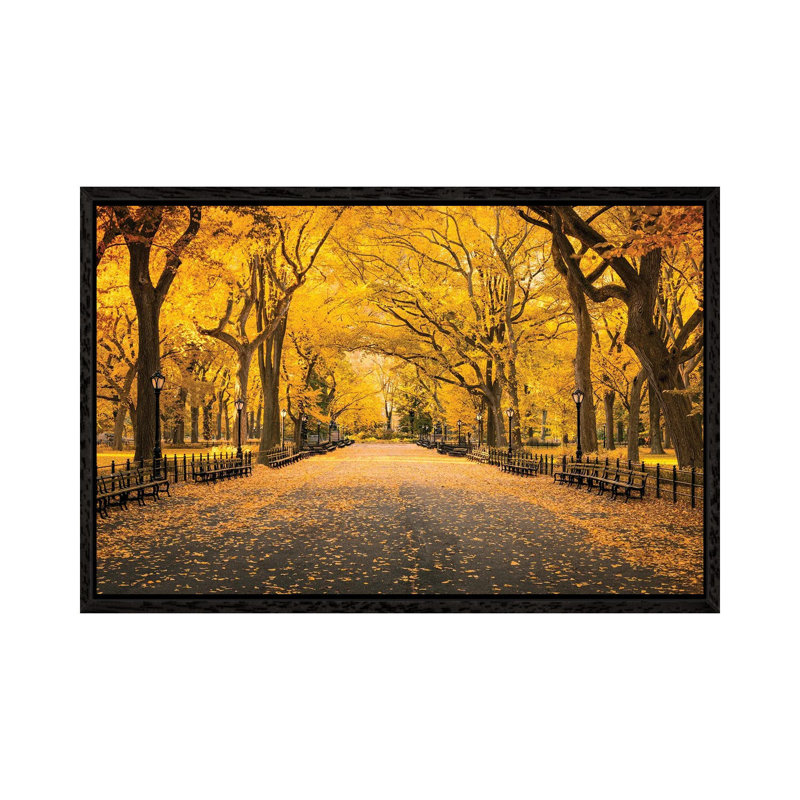 Central Park In Autumn by Jan Becke - Print on Canvas, Black Framed, 45.72cm H x 66.04cm W x 3.81cm D
