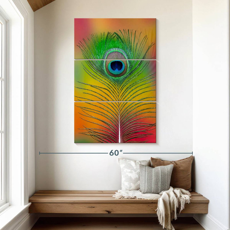 Plume de queue de paon mâle Kerner, H 50 po x l 32 po