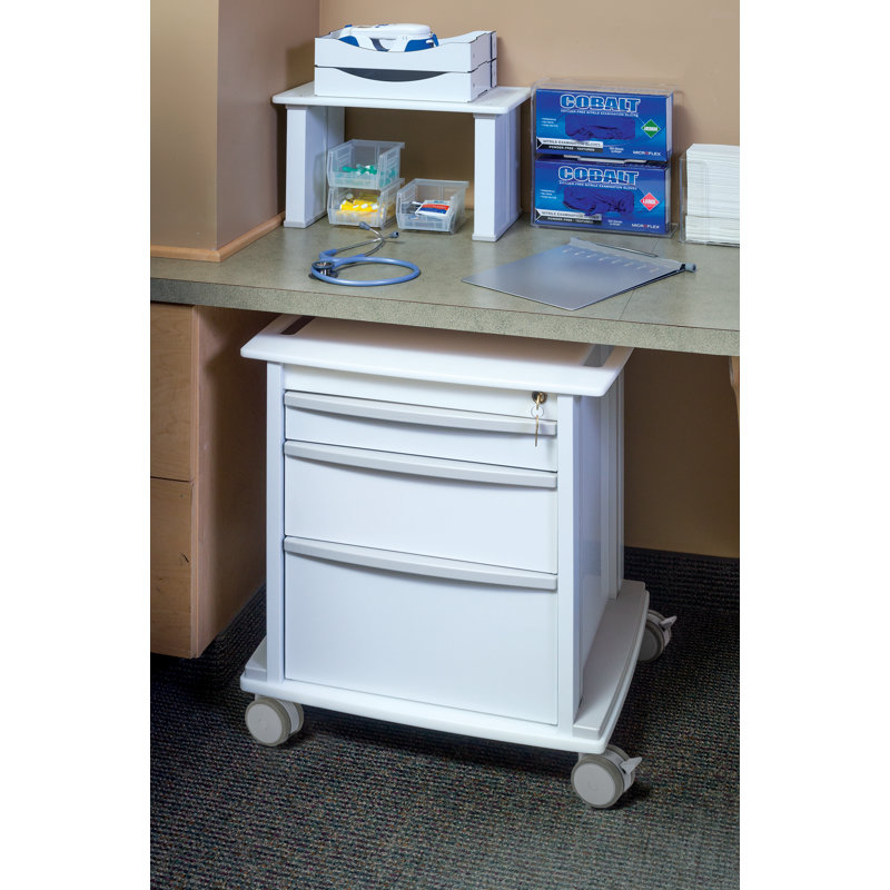 25'' H x 24'' W 4 - Cabinet File Cart with Wheels