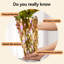 Cacie Glass Table Vase-1231100433