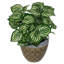40cm Faux Plant in Pot Liner