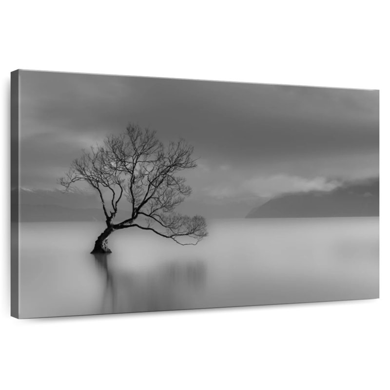 Alvord Lake Wanaka Lone Tree, 30" H x 45" W