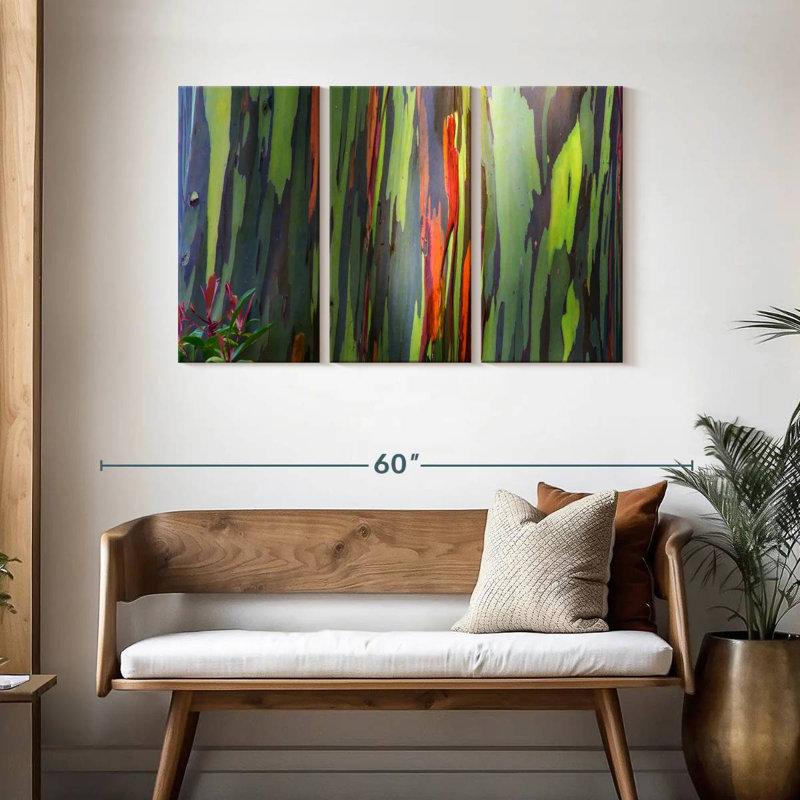 Écorce d'eucalyptus Harnek Rainbow, H 28 po x l 45 po