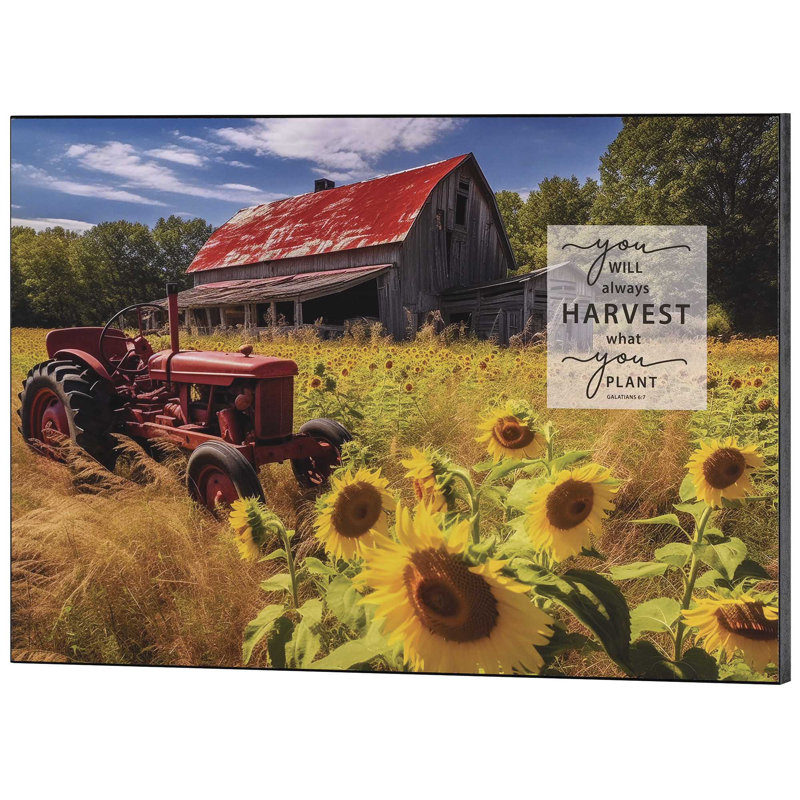 Plaque murale «You Will Always Harvest»