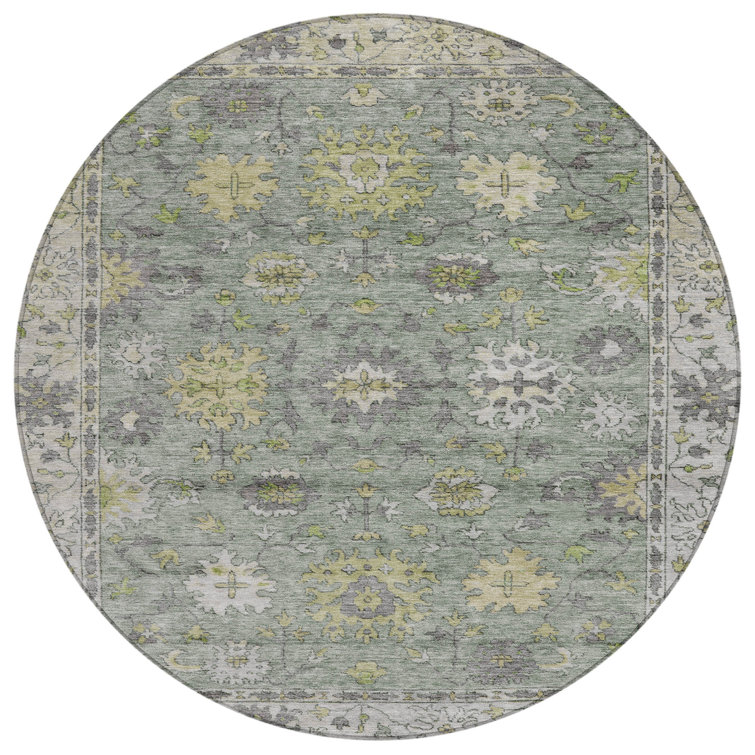 Machine Washable Indoor/Outdoor Xhevrie Sage Rug