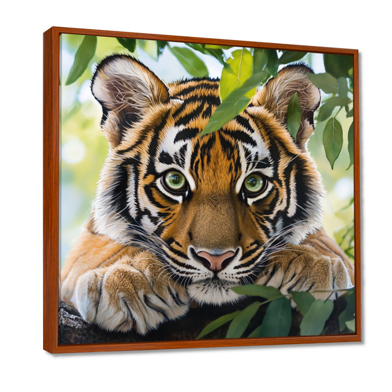 Portrait de tigres - tigre, art mural, H 16 po x l 16 po, Reproduction avec cadre flottant, Brun