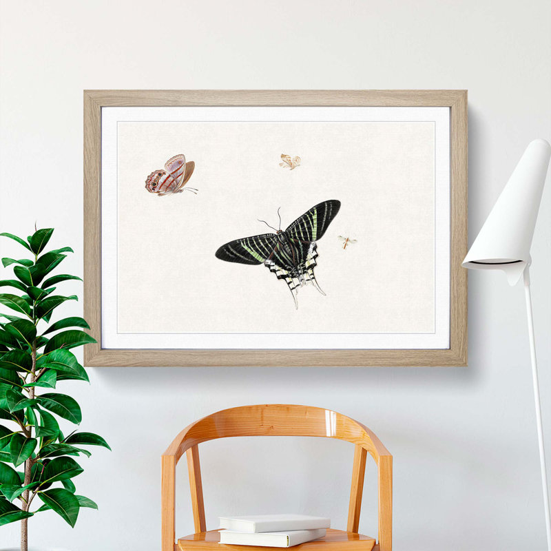 A Wasp and Three Butterflies by Herman Henstenburgh - Framed Print, Oak Framed, 33cm H x 45cm W x 2cm D