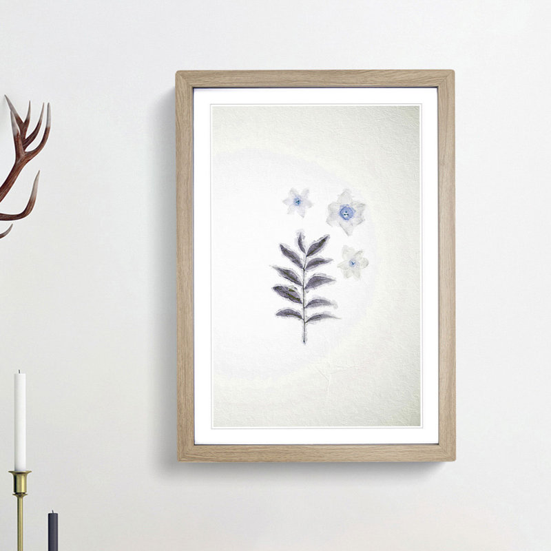 White Daffodil Dismantled - Framed Print, 65cm H x 48cm W x 2cm D, Oak Framed