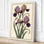 Iris Cluster Botanical - Wrapped Canvas-1093864042-1093864052