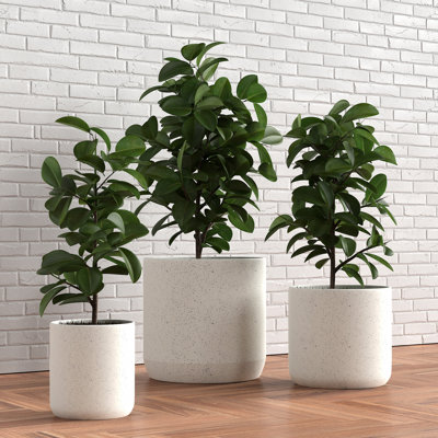Large 3 Piece Ceramic Pot Planter Set