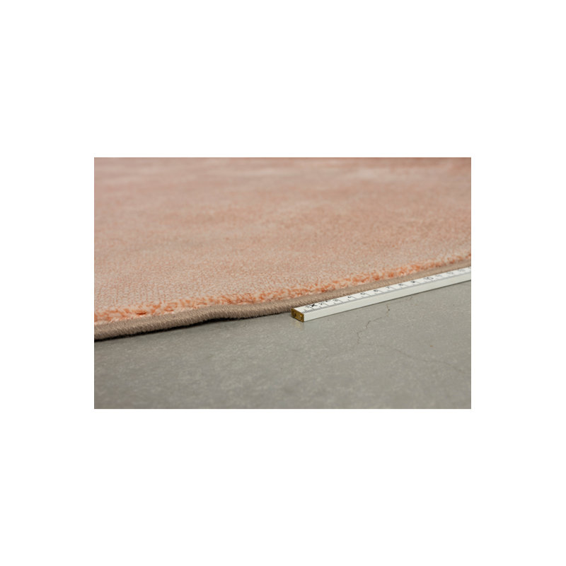 Rug Area Rug in Pink
