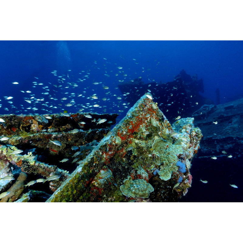 Shipwreck In Aruba by LFPuntel - Wrapped Canvas Print, 61cm H x 91cm W x 3.8cm D