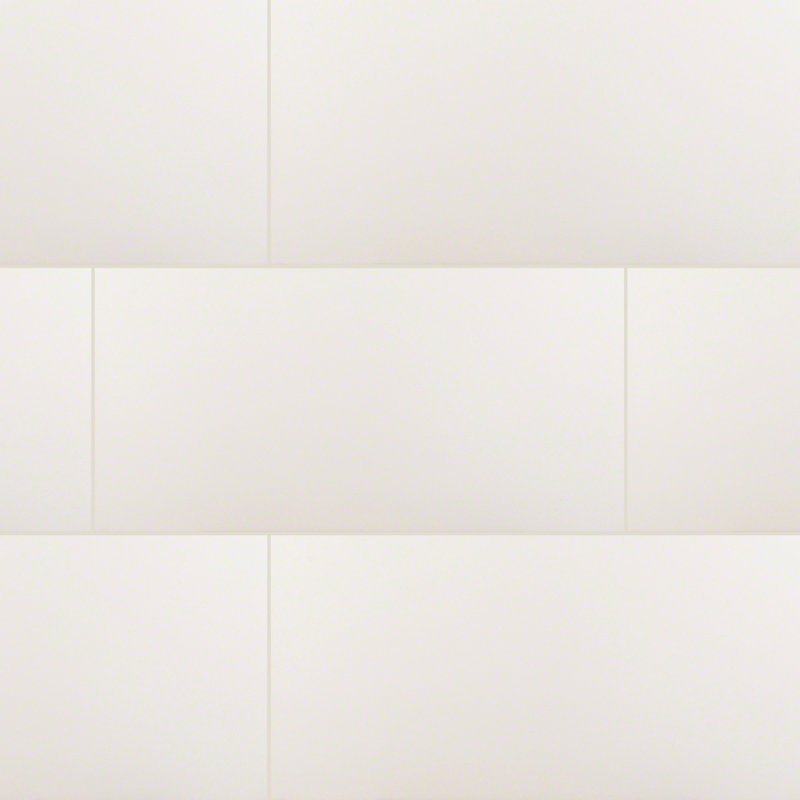Carrelage de sol et de mur en porcelaine mat 12 po x 24 po Segment Blanc