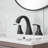 Widespread Bathroom Faucet with Drain Assembly