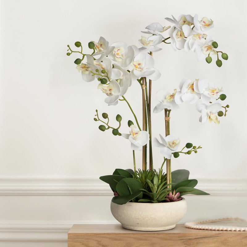 Arrangement de soie orchidée en pot, Blanc